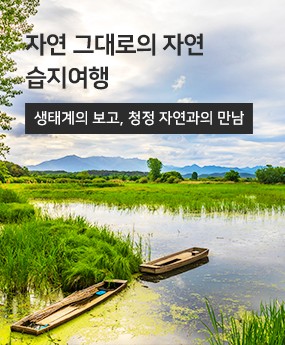 main_theme01