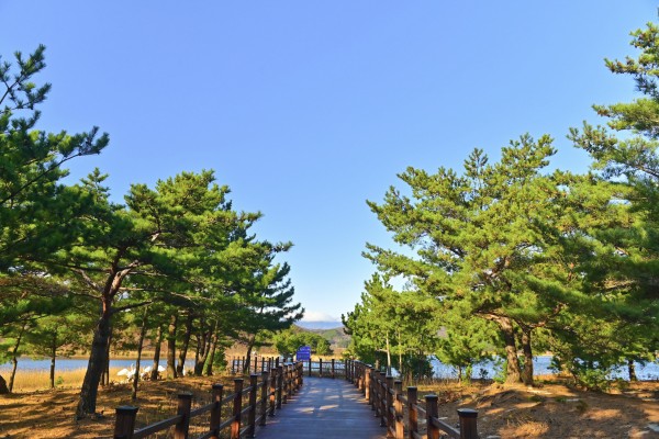 test_list01
