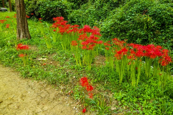 test_list01